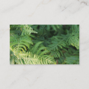 FernLeaves. Visitkort