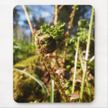 Fernormbunksblad Mousepad