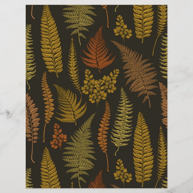 Ferns 3 (Framsida)