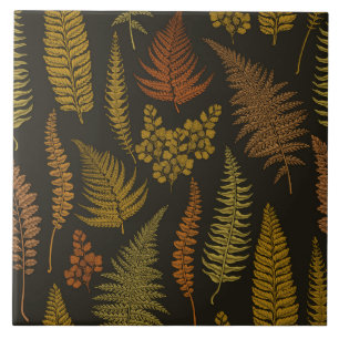 Ferns 3 kakelplatta