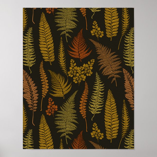 Ferns 3 poster (Framsidan)