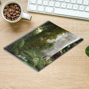 Ferns and Moss Covered Träd Nature Photo Anteckningsbok