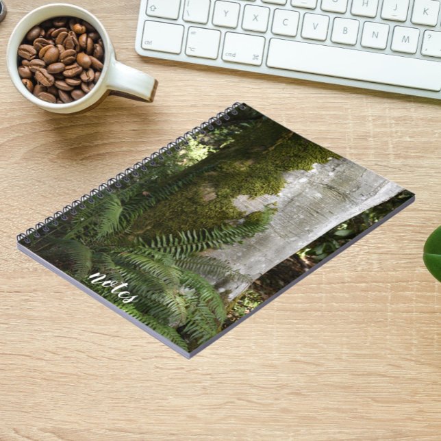Ferns and Moss Covered Träd Nature Photo Anteckningsbok (In Situ Office)