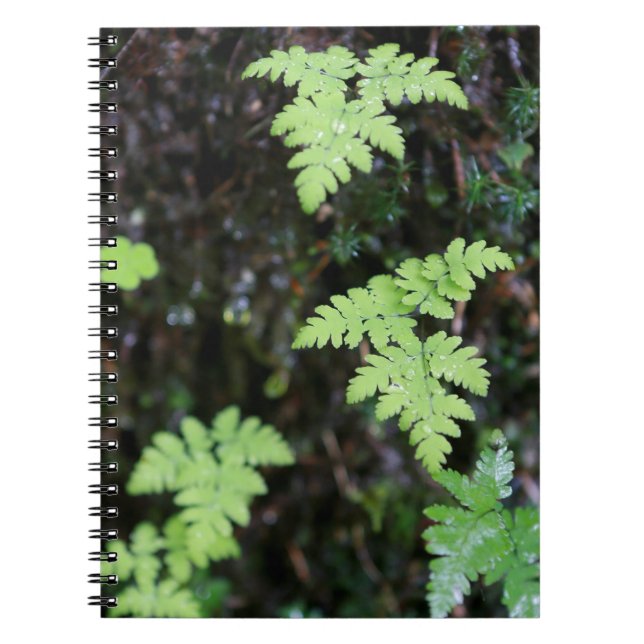 Ferns Anteckningsbok Med Spiral (Framsidan)