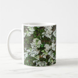 Ferns at Glacier nationalpark, Montana Mugg