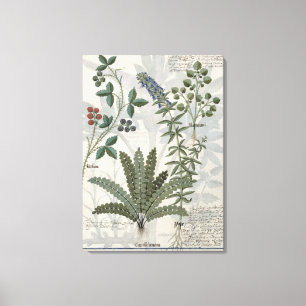 Ferns, Brambles och blommor Canvastryck
