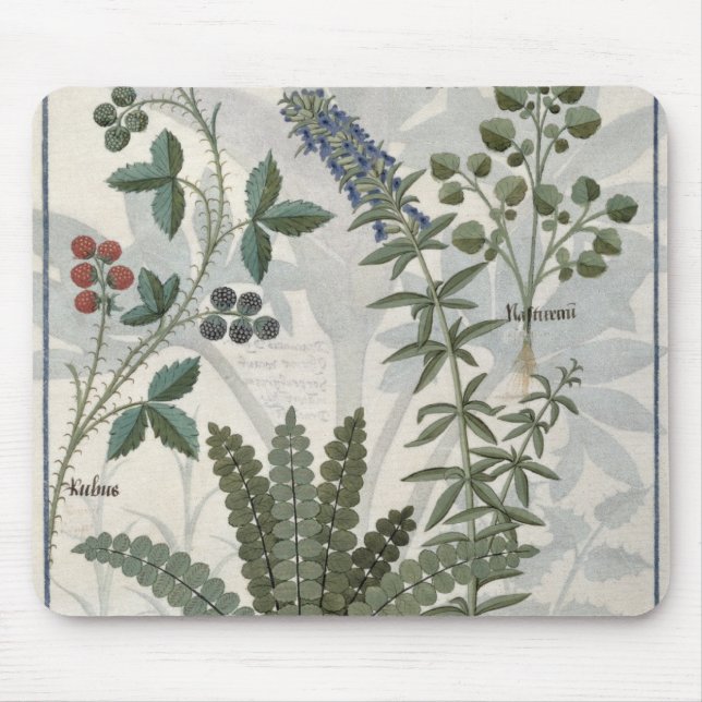 Ferns, Brambles och blommor Musmatta (Framsidan)
