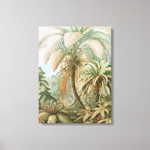 Ferns, Filicinae Laubfarne av Ernst Haeckel Canvastryck