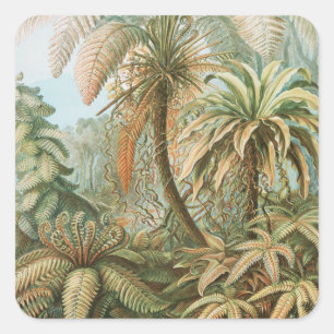 Ferns, Filicinae Laubfarne av Ernst Haeckel Fyrkantigt Klistermärke