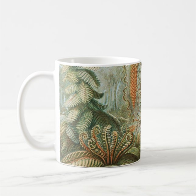 Ferns, Filicinae Laubfarne av Ernst Haeckel Kaffemugg (Vänster)