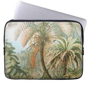 Ferns, Filicinae Laubfarne av Ernst Haeckel Laptop Fodral