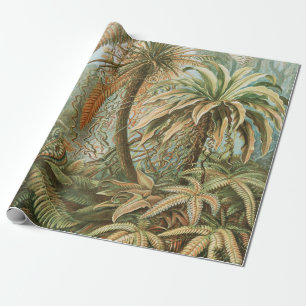 Ferns, Filicinae Laubfarne av Ernst Haeckel Presentpapper