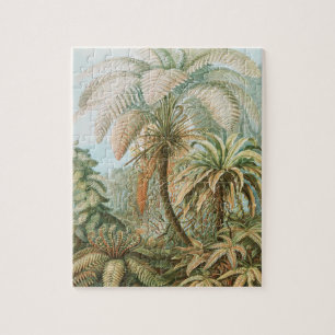 Ferns, Filicinae Laubfarne av Ernst Haeckel Pussel