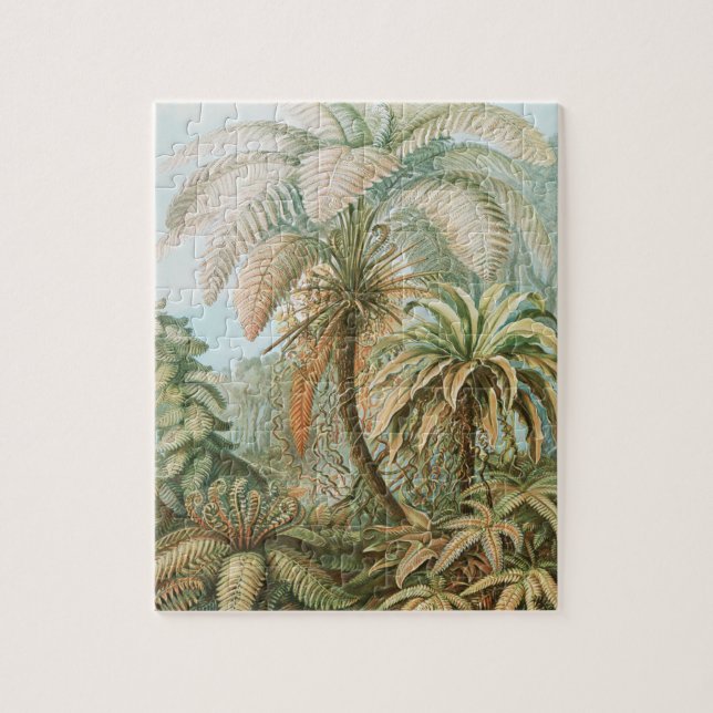 Ferns, Filicinae Laubfarne av Ernst Haeckel Pussel (Vertikal)