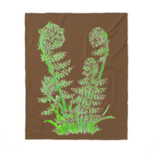 Ferns