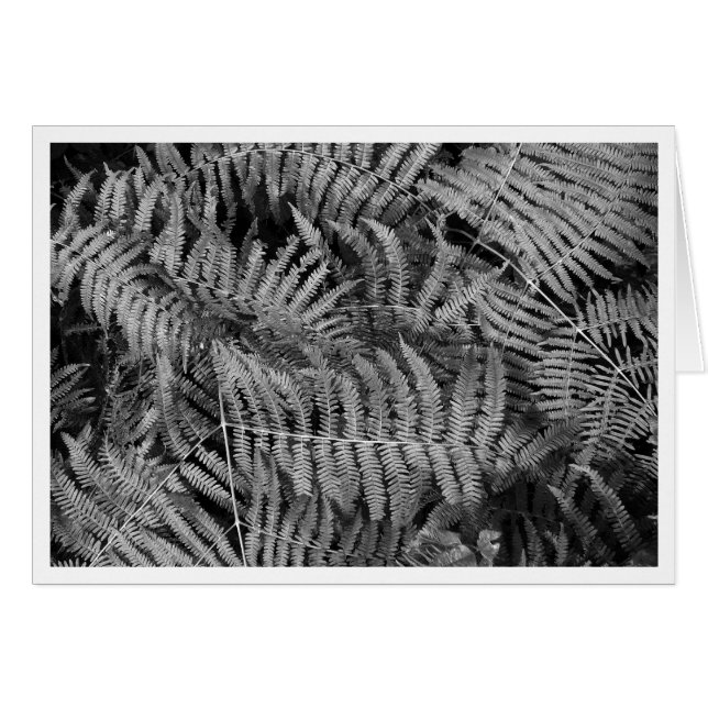 Ferns Hälsningskort (Framsidan Horizontal)