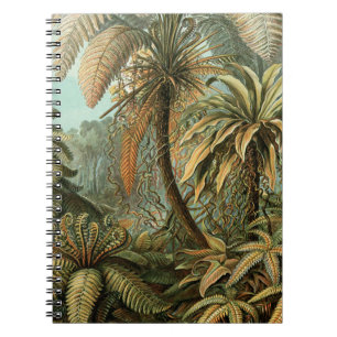 Ferns Handflatan Träd Antique Botanical Ferns Art Anteckningsbok