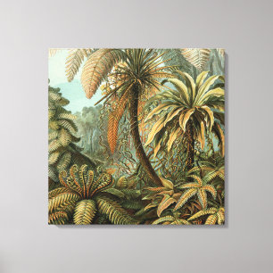 Ferns Handflatan Träd Antique Botanical Ferns Art Canvastryck