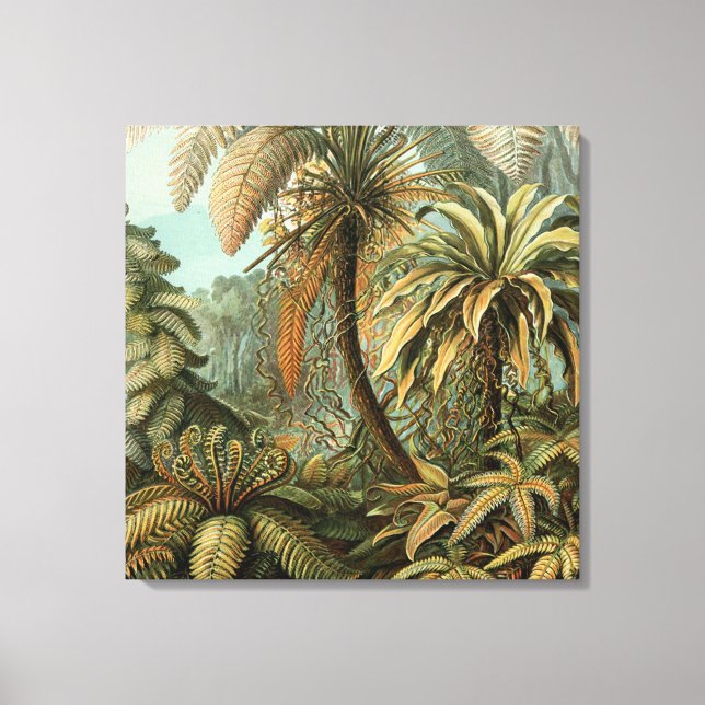 Ferns Handflatan Träd Antique Botanical Ferns Art Canvastryck (Framsida)