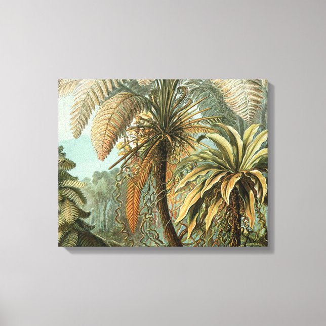 Ferns Handflatan Träd Antique Botanical Ferns Art Canvastryck (Framsida)
