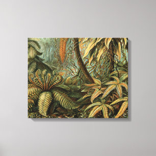 Ferns Handflatan Träd Antique Botanical Ferns Art Canvastryck