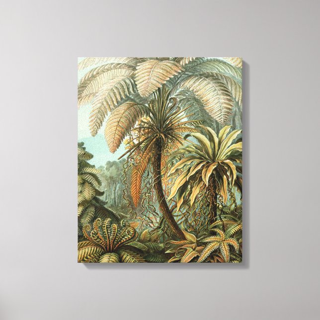 Ferns Handflatan Träd Antique Botanical Ferns Art Canvastryck (Framsida)