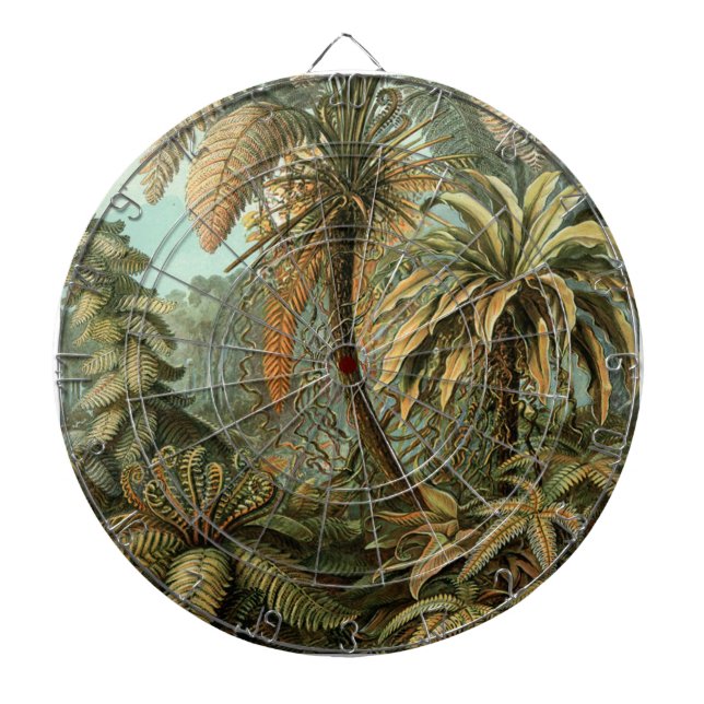 Ferns Handflatan Träd Antique Botanical Ferns Art Darttavla (Framsidan)