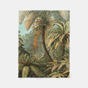 Ferns Handflatan Träd Antique Botanical Ferns Art Fleecefilt