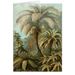 Ferns Handflatan Träd Antique Botanical Ferns Art Hälsningskort