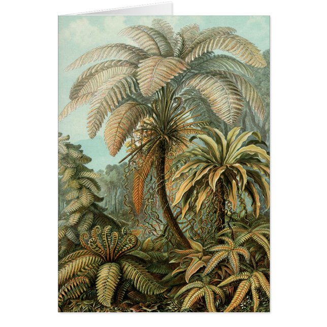 Ferns Handflatan Träd Antique Botanical Ferns Art Hälsningskort (Framsidan)