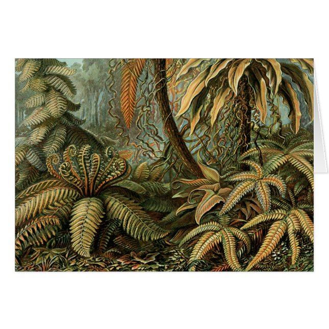 Ferns Handflatan Träd Antique Botanical Ferns Art Hälsningskort (Framsidan Horizontal)