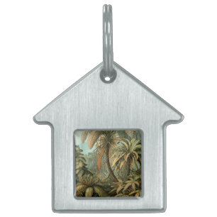 Ferns Handflatan Träd Antique Botanical Ferns Art ID-bricka Husdjur