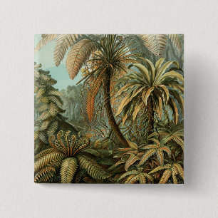 Ferns Handflatan Träd Antique Botanical Ferns Art Knapp