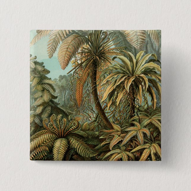 Ferns Handflatan Träd Antique Botanical Ferns Art Knapp (Framsida)