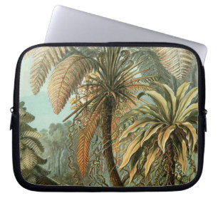 Ferns Handflatan Träd Antique Botanical Ferns Art Laptop Sleeve