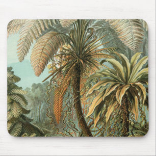 Ferns Handflatan Träd Antique Botanical Ferns Art Musmatta
