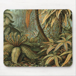Ferns Handflatan Träd Antique Botanical Ferns Art Musmatta