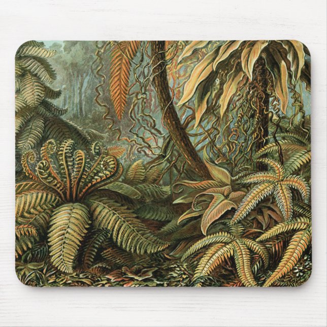 Ferns Handflatan Träd Antique Botanical Ferns Art Musmatta (Framsidan)