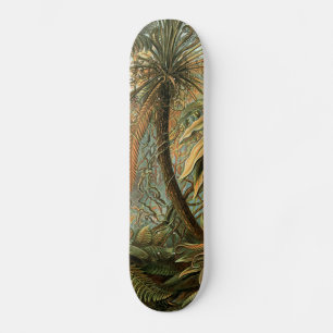 Ferns Handflatan Träd Antique Botanical Ferns Art Skateboard Bräda 21,5 Cm
