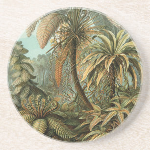 Ferns Handflatan Träd Antique Botanical Ferns Art Underlägg Sandsten
