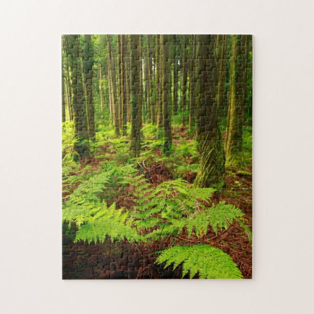 Ferns i skogen pussel (Vertikal)