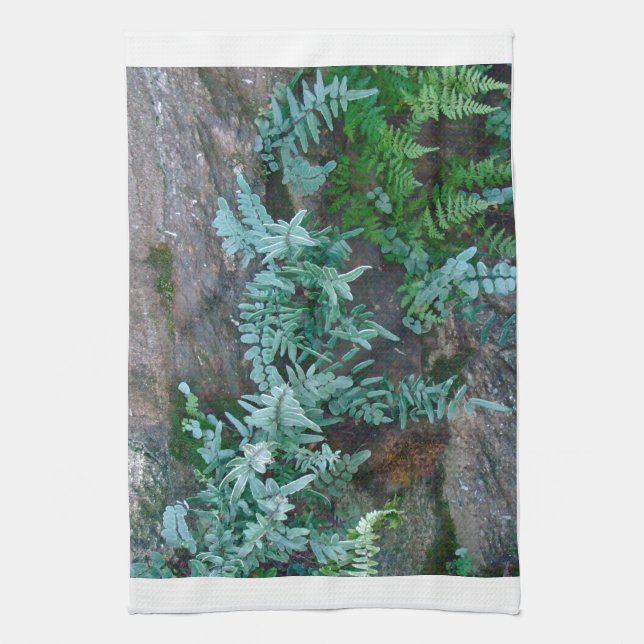 Ferns in Philadelphia Kökshandduk (Vertikal)