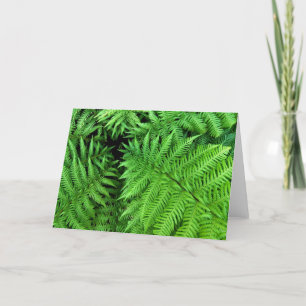 Ferns Kort
