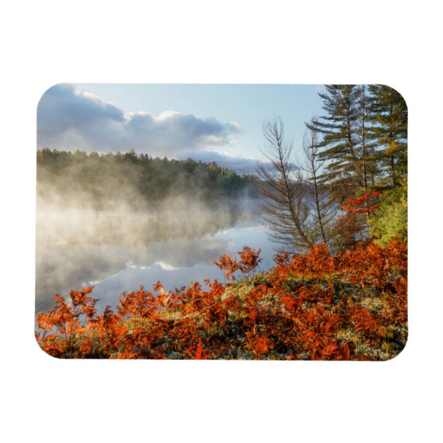 Ferns på Shoreline | Paradise, Michigan Magnet (Horisontell)