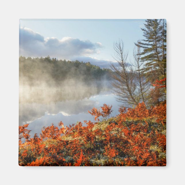 Ferns på Shoreline | Paradise, Michigan Magnet (Framsidan)