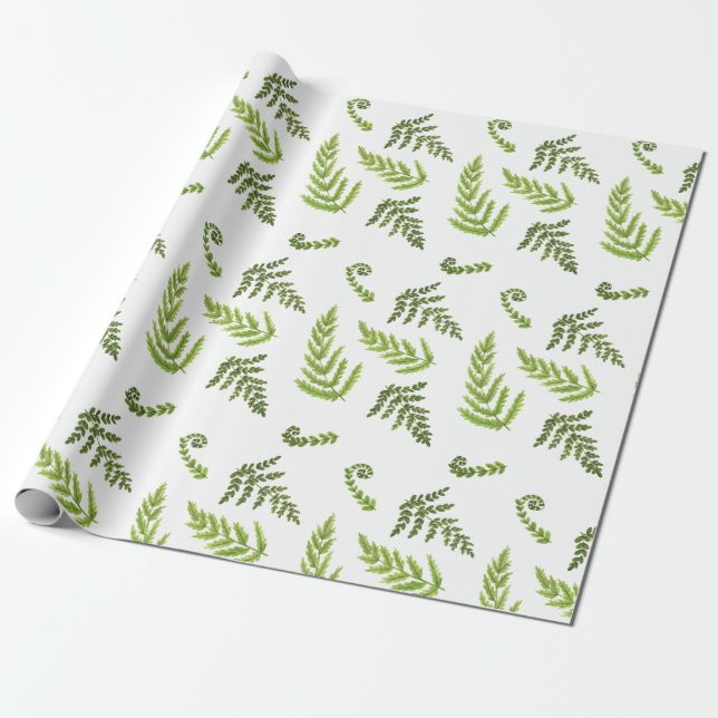 Ferns Presentpapper (Utrullad)