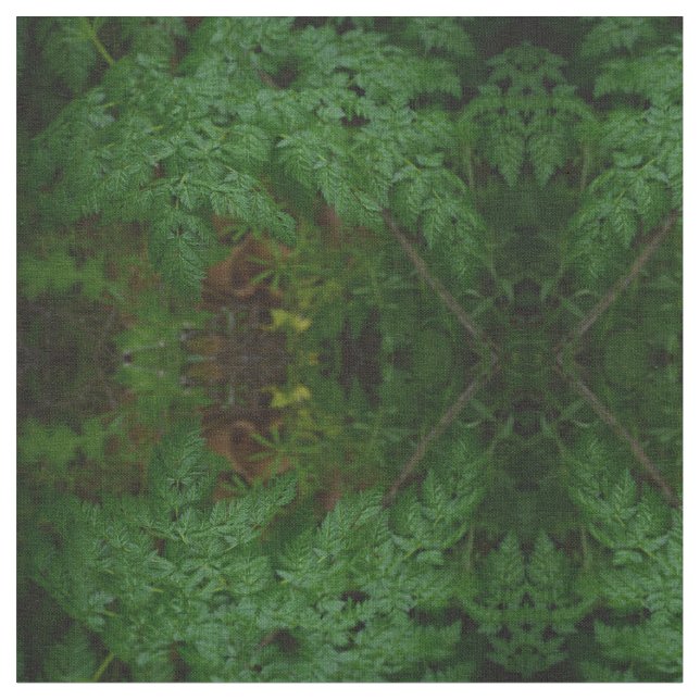 Ferns Tyg (Närbild)