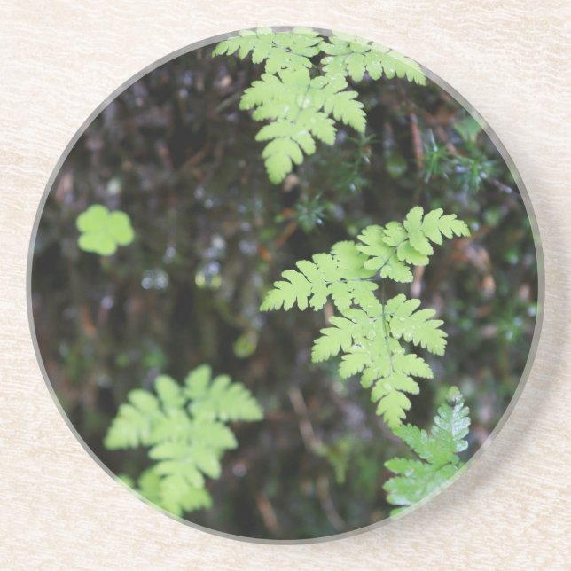 Ferns Underlägg Sandsten (Framsidan)