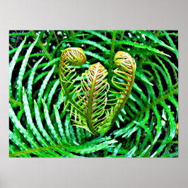 Ferns Unfurling Poster