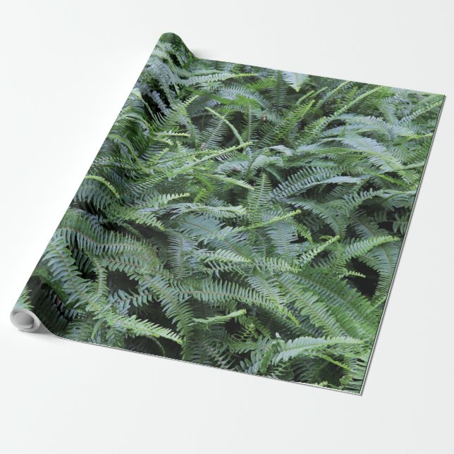 Ferns Wrapping Papper Presentpapper (Utrullad)